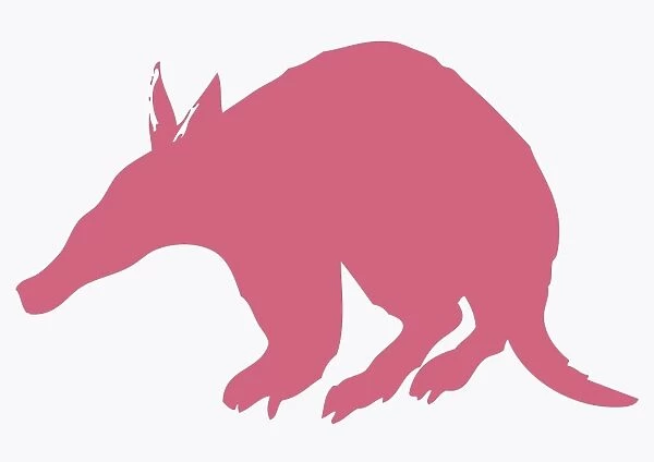 Digital illustration of pink silhouette of Aardvark