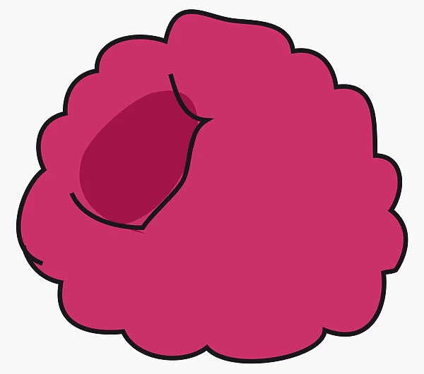 Digital illustration of raspberry