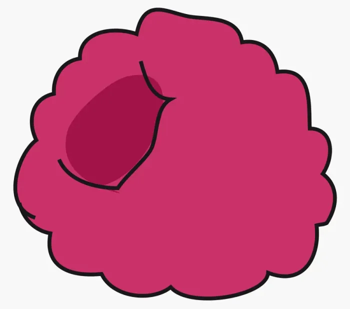 Framed Print : Digital illustration of raspberry