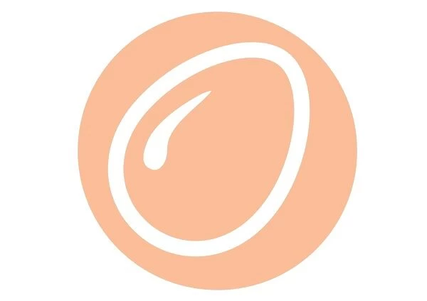 Digital illustration representing egg in pink circle