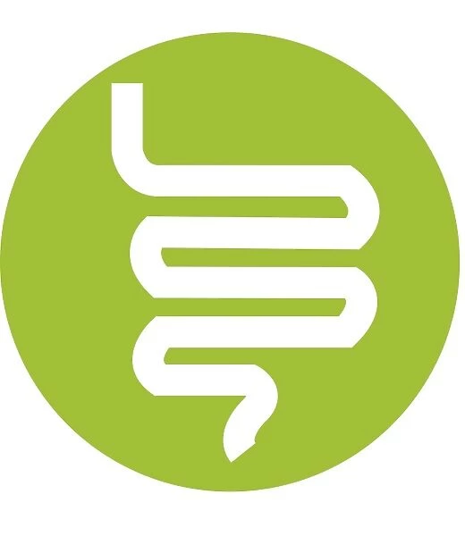 Digital illustration representing human intestine in green circle on white background