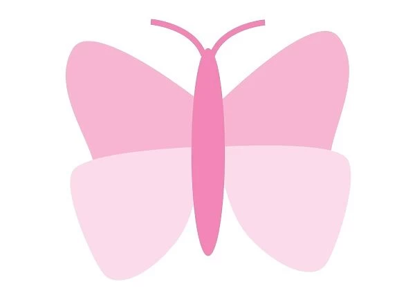 Digital illustration representing pink butterfly