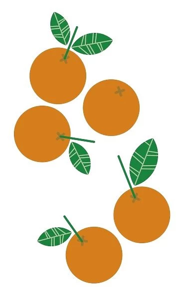 Digital illustration of ripe oranges with green leaves and stems