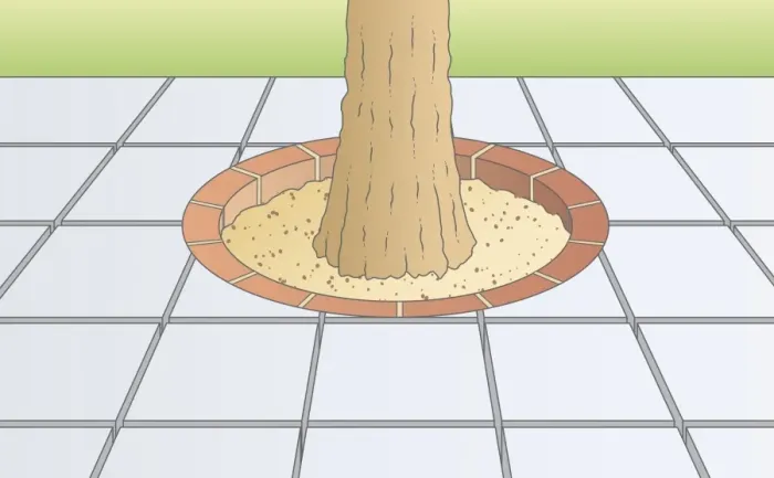 Framed Print : Digital illustration showing paving stones arranged around base of tree Framed Print : Digital illustration showing paving stones arranged around base of tree