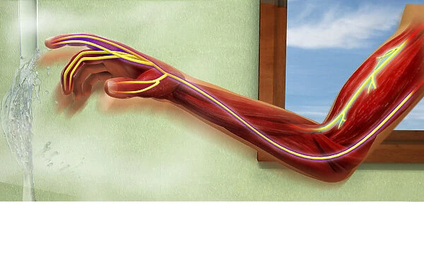 Digital illustration showing sensory neurons sending message to nerves in human arm after scalding b