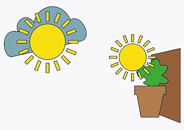 Digital illustration of sun and cloud, and sun shining on plant in plant pot