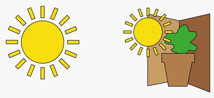 Framed Print : Digital illustration of sun, and sun shining on plant in pot in corner Framed Print : Digital illustration of sun, and sun shining on plant in pot in corner