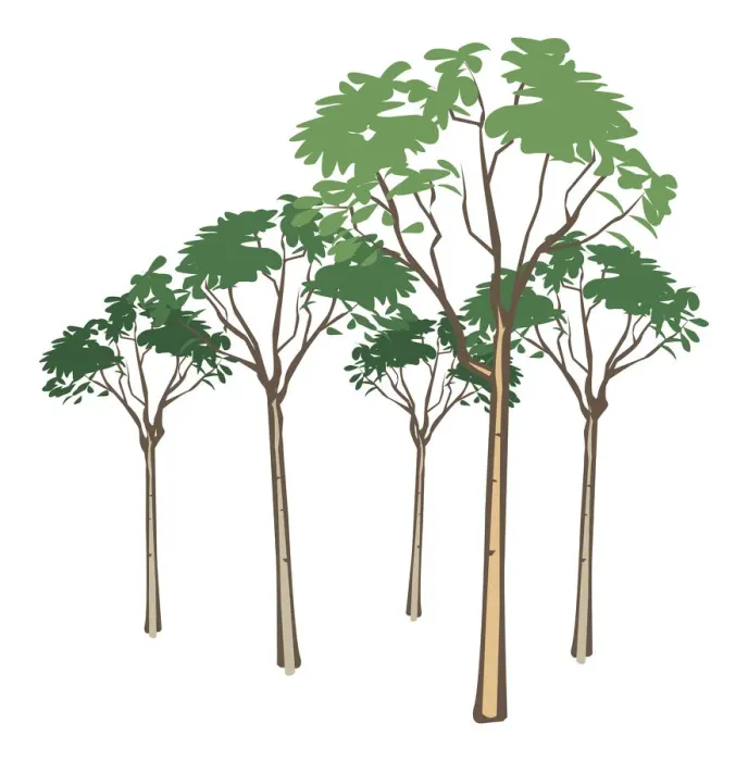 Framed Print : Digital illustration of tall trees with green leaves