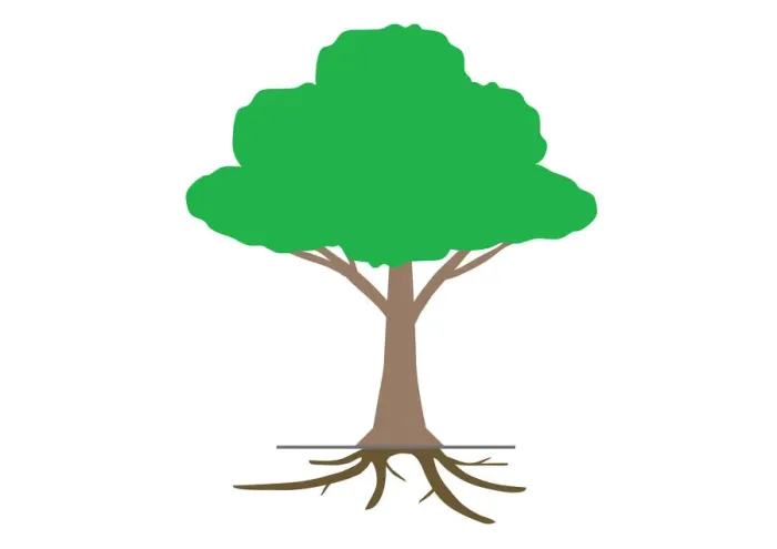 Framed Print : Digital illustration tree showing roots underground Framed Print : Digital illustration tree showing roots underground
