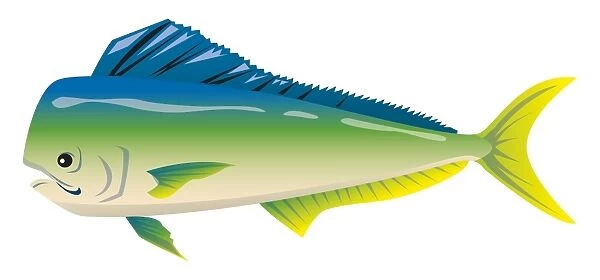 Digital illustration of tropical fish