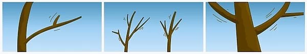 Digital illustration of wind moving branches of bare trees