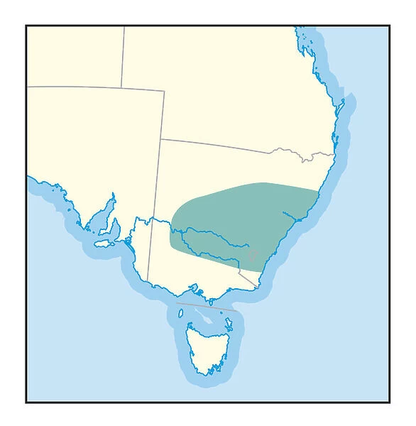 Digital illustration of wine growing region in New South Wales