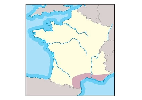 Digital illustration of wine growing region in the South of France shown in pink