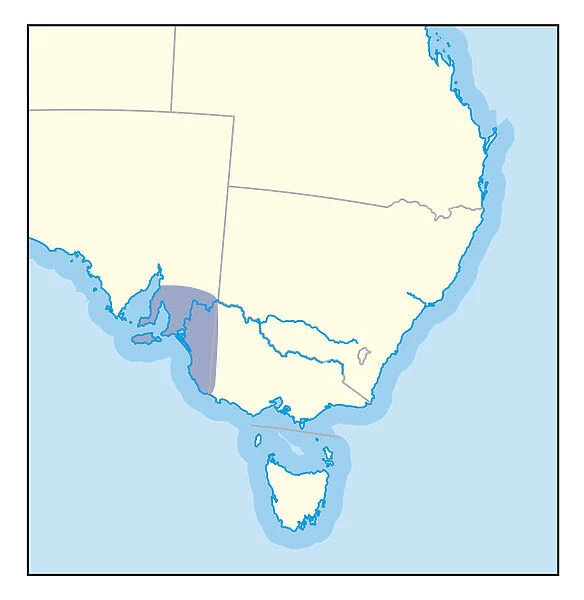 Digital illustration of wine growing region of southern Australia