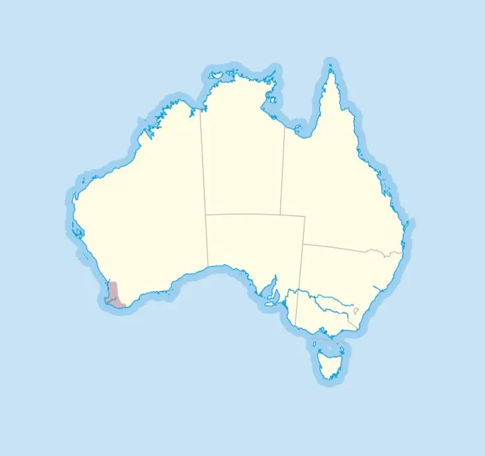 Framed Print : Digital illustration of wine growing region of western Australia Framed Print : Digital illustration of wine growing region of western Australia
