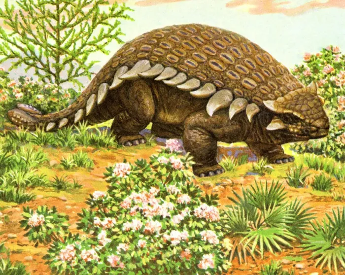 Framed Print : Dinosaur. http: / / csaimages.com / images / istockprofile / csa_vector_dsp.jpg Framed Print : Dinosaur. http: / / csaimages.com / images / istockprofile / csa_vector_dsp.jpg