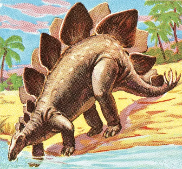 Framed Print : Dinosaur. http: / / csaimages.com / images / istockprofile / csa_vector_dsp.jpg Framed Print : Dinosaur. http: / / csaimages.com / images / istockprofile / csa_vector_dsp.jpg