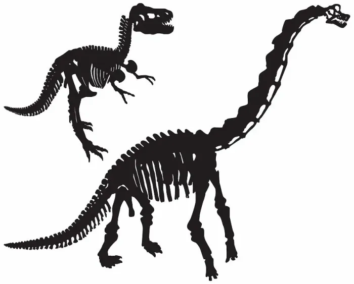 Framed Print : Dinosaur Bones (Vector) Framed Print : Dinosaur Bones (Vector)