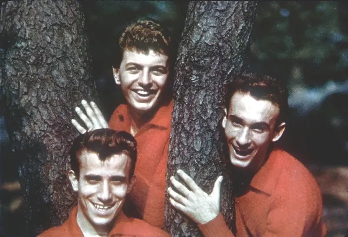 Framed Print : Dion And The Belmonts Portrait Framed Print : Dion And The Belmonts Portrait