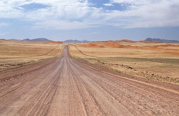 Dirt Road Highway Through the Desert