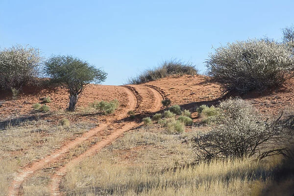 Dirt road, Kalahari, Namibia