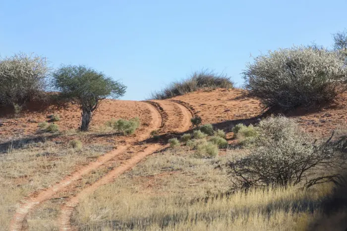 Framed Print : Dirt road, Kalahari, Namibia Framed Print : Dirt road, Kalahari, Namibia