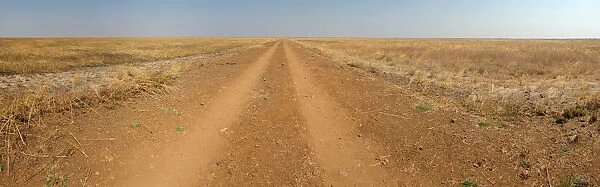 Empty dirt road, Kazuma Pan National Park, Matabeleland North, Zimbabwe