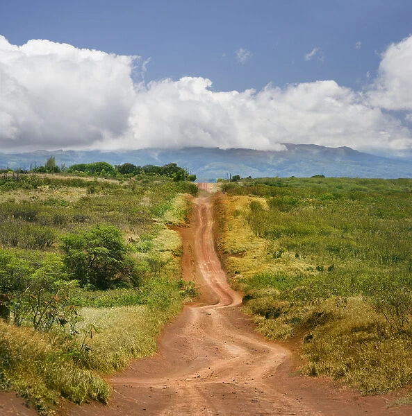 Dirt road through landscape