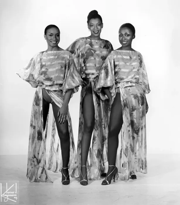 Framed Print : Disco Group Musique Portrait Framed Print : Disco Group Musique Portrait