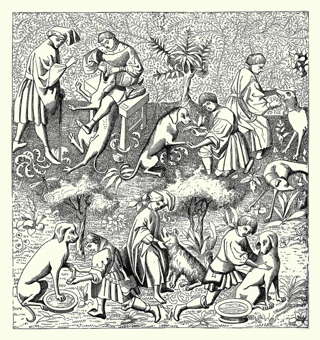 Framed Print : Diseases of Dogs and their Cure Framed Print : Diseases of Dogs and their Cure