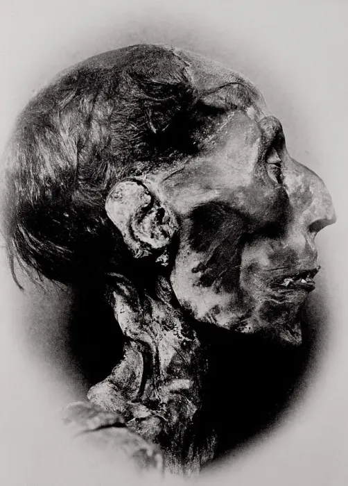 Framed Print : Display of a Mummy's Head Framed Print : Display of a Mummy's Head