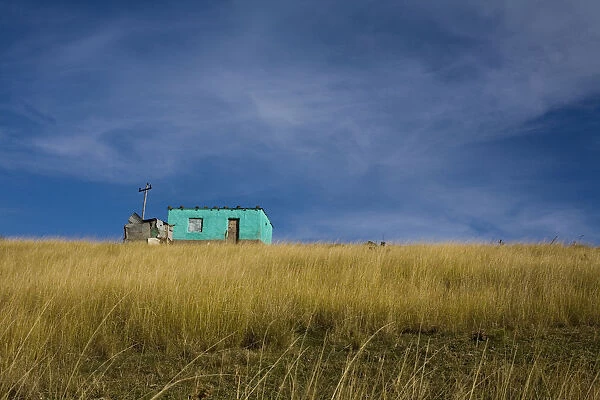 Distant view of a small traditional flat house under blue sky and surrounded by golden wavy grass, Coffee Bay, Eastern Cape province, South Africa
