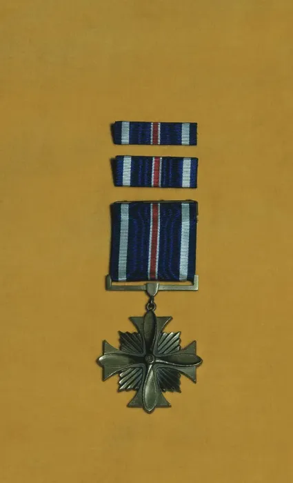 Framed Print : Distinguished Flying Cross Framed Print : Distinguished Flying Cross