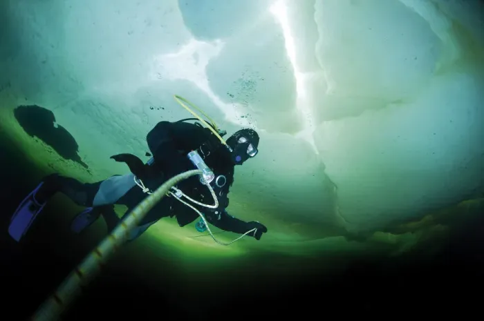 Framed Print : Diver under ice, White Sea, Russia Framed Print : Diver under ice, White Sea, Russia