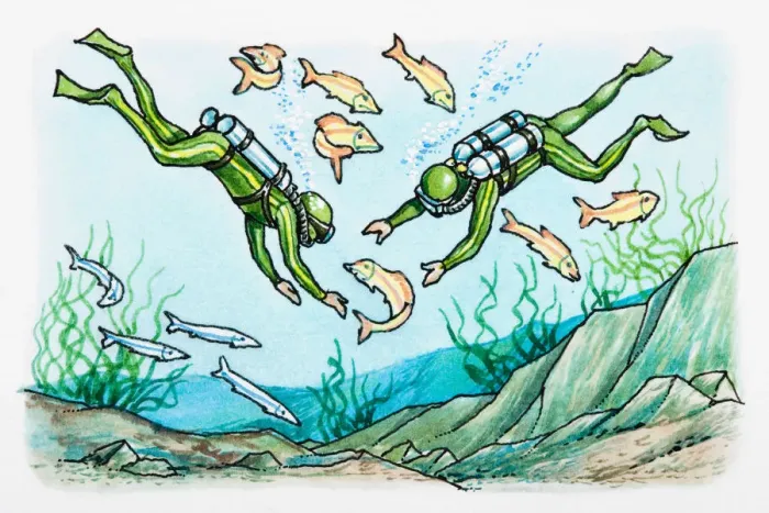 Framed Print : Two divers surrounded by fish Framed Print : Two divers surrounded by fish