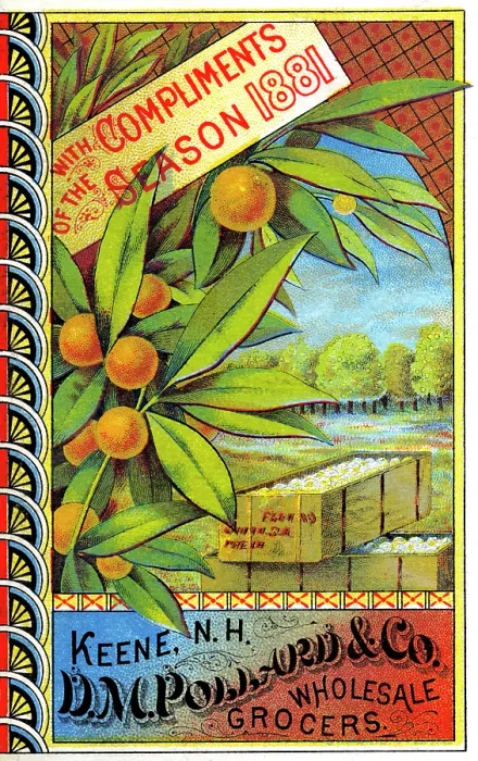 Framed Print : D.M. Pollard & Co Wholesale Grocers Framed Print : D.M. Pollard & Co Wholesale Grocers