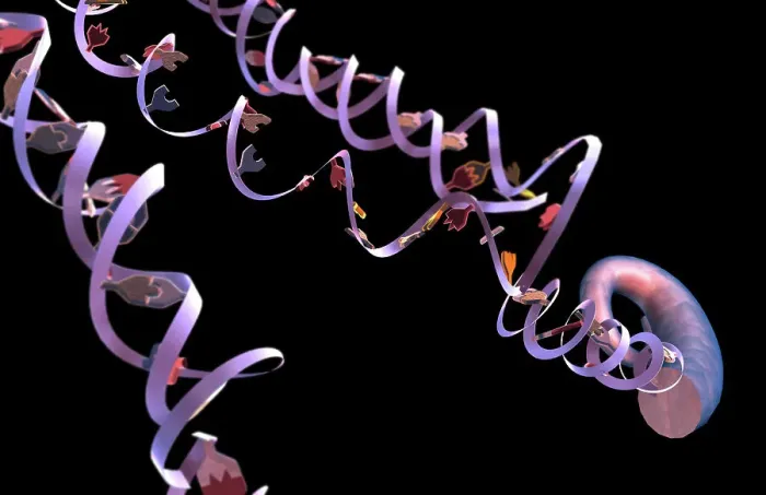 Framed Print : DNA structure Framed Print : DNA structure