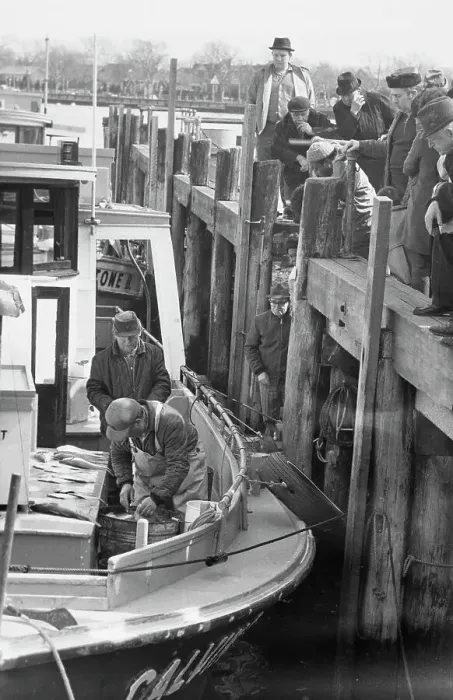 Framed Print : Dockside Purchasing, Sheepshead Bay Framed Print : Dockside Purchasing, Sheepshead Bay