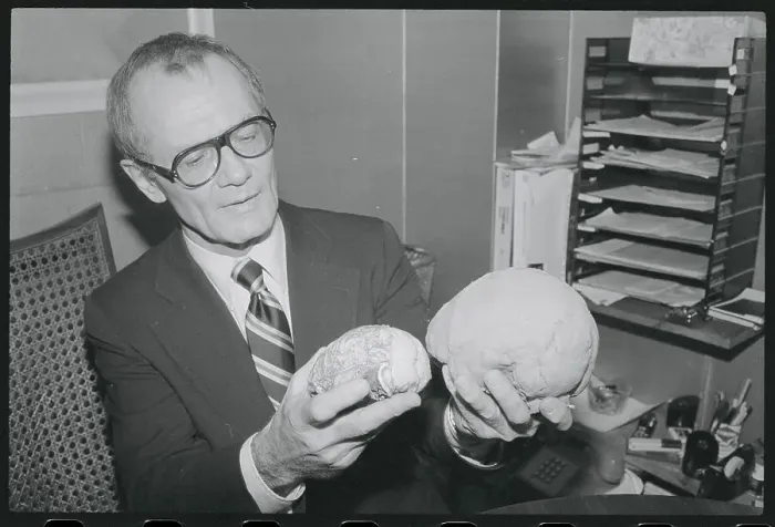 Framed Print : Doctor Holding Models of Brains Framed Print : Doctor Holding Models of Brains