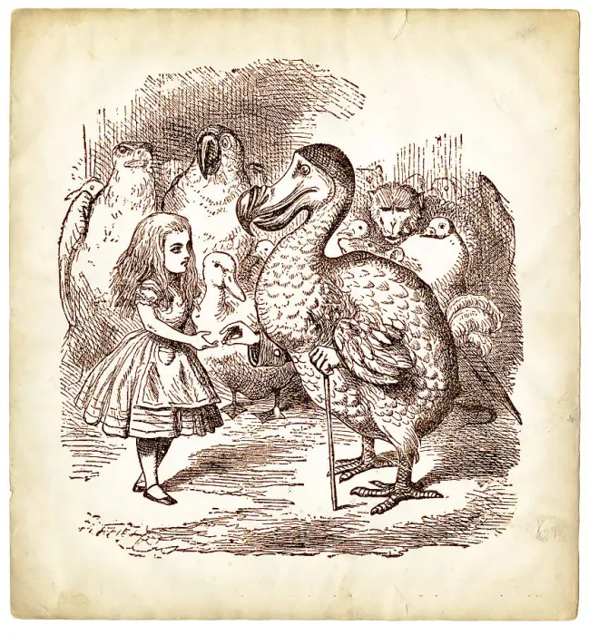 Framed Print : The Dodo and Alice in Wonderland Framed Print : The Dodo and Alice in Wonderland