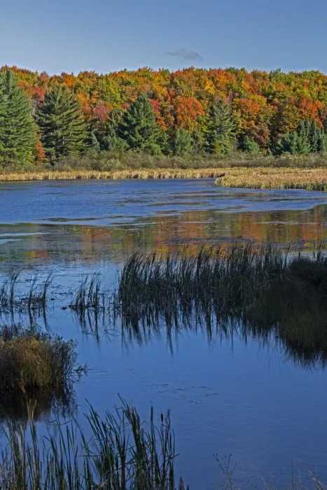 Framed Print : Doe Lake on sunny day, Hiawatha National Forest, Upper Peninsula, Michigan, USA Framed Print : Doe Lake on sunny day, Hiawatha National Forest, Upper Peninsula, Michigan, USA