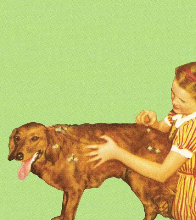 Framed Print : Dog bath. http: /  / csaimages.com / images / istockprofile / csa_vector_dsp.jpg