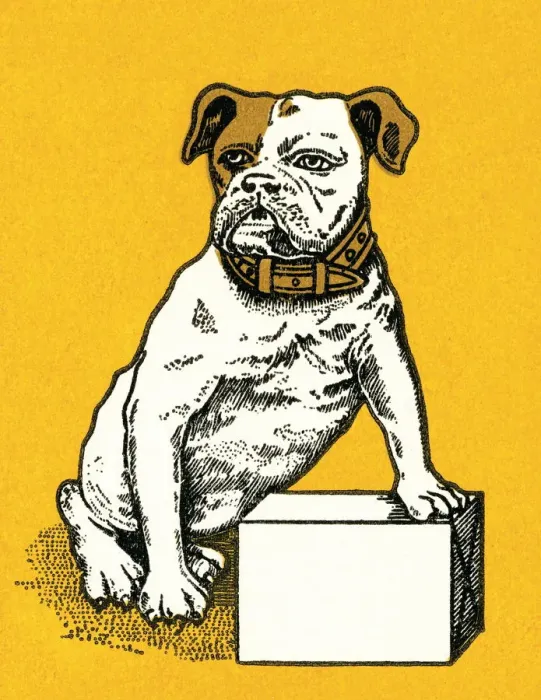Framed Print : Dog on a box Framed Print : Dog on a box