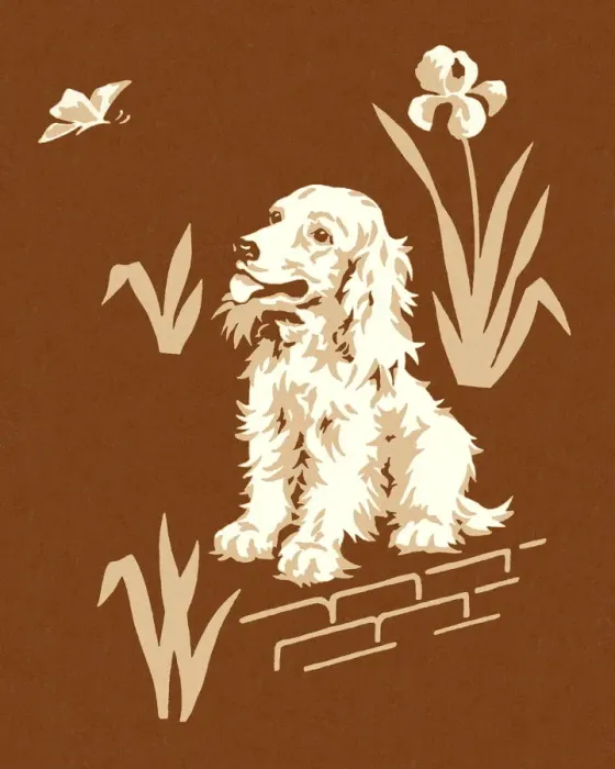 Framed Print : Dog on a Brown Background Framed Print : Dog on a Brown Background
