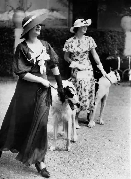 Framed Print : Dog Competition in Paris