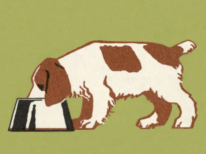 Framed Print : Dog Eating Framed Print : Dog Eating