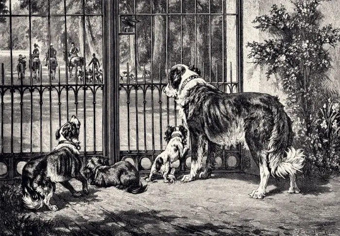 Framed Print : THE DOG FAMILY (XXXL) Framed Print : THE DOG FAMILY (XXXL)