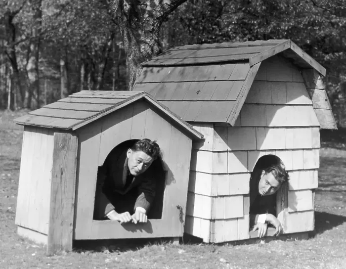 Framed Print : In The Dog House Framed Print : In The Dog House