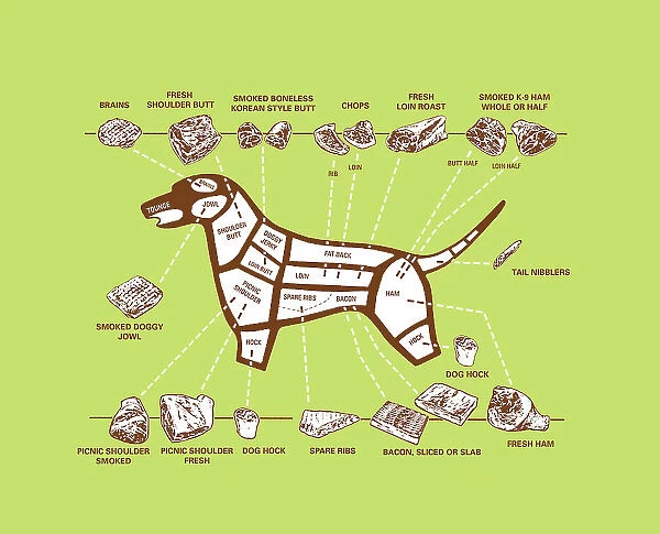 Dog Meat Diagram