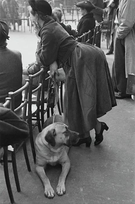 Framed Print : Dog And Owner At Crufts Framed Print : Dog And Owner At Crufts